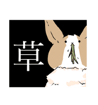 日常の片隅「うーちゃん」（個別スタンプ：30）