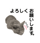 癒しのめいスタンプpart3（個別スタンプ：9）