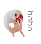 文鳥の仲間たち（個別スタンプ：20）