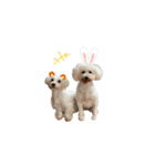 珊瑚とブラン（個別スタンプ：3）