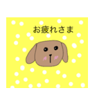 日常生活で使える犬のスタンプ（個別スタンプ：12）