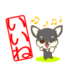 ちわちわちわわん(デカ文字)（個別スタンプ：21）