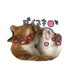 おちゃましうしはうす（個別スタンプ：39）