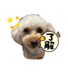 きなちゃんもなちゃん（個別スタンプ：14）