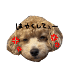 きなちゃんもなちゃん（個別スタンプ：23）