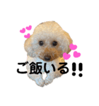 きなちゃんもなちゃん（個別スタンプ：25）