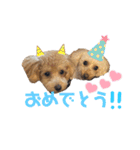 きなちゃんもなちゃん（個別スタンプ：29）