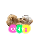 きなちゃんもなちゃん（個別スタンプ：30）