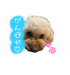 きなちゃんもなちゃん（個別スタンプ：31）
