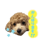 きなちゃんもなちゃん（個別スタンプ：32）