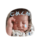 saku17③（個別スタンプ：2）