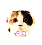 クナちゃんのハッピースタンプ（個別スタンプ：7）