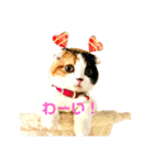 クナちゃんのハッピースタンプ（個別スタンプ：10）