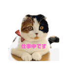 クナちゃんのハッピースタンプ（個別スタンプ：13）