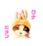 クナちゃんのハッピースタンプ（個別スタンプ：29）