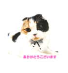 クナちゃんのハッピースタンプ（個別スタンプ：30）