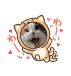 クナちゃんのハッピースタンプ（個別スタンプ：34）