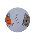 ミーとオマメ イラスト版（個別スタンプ：5）