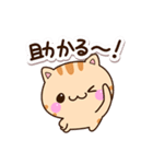 まるいトラねこ（個別スタンプ：16）