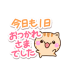 まるいトラねこ（個別スタンプ：38）