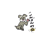 シュナウザー犬のくうです（個別スタンプ：1）
