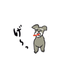 シュナウザー犬のくうです（個別スタンプ：11）