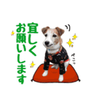 おらコタロウ（個別スタンプ：4）