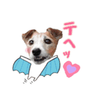 おらコタロウ（個別スタンプ：6）