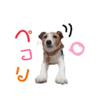 おらコタロウ（個別スタンプ：7）