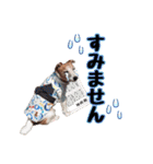 おらコタロウ（個別スタンプ：9）
