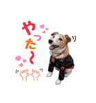 おらコタロウ（個別スタンプ：10）