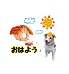 おらコタロウ（個別スタンプ：11）