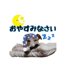 おらコタロウ（個別スタンプ：13）