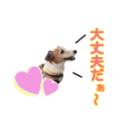 おらコタロウ（個別スタンプ：19）