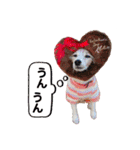 おらコタロウ（個別スタンプ：23）