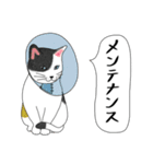 ねこさんの観察日記（個別スタンプ：1）