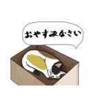 ねこさんの観察日記（個別スタンプ：2）