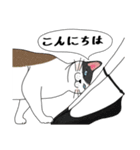 ねこさんの観察日記（個別スタンプ：4）