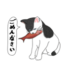 ねこさんの観察日記（個別スタンプ：5）