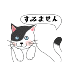 ねこさんの観察日記（個別スタンプ：6）
