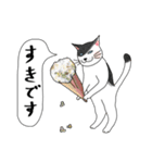 ねこさんの観察日記（個別スタンプ：7）