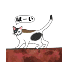 ねこさんの観察日記（個別スタンプ：9）