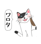 ねこさんの観察日記（個別スタンプ：12）