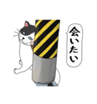 ねこさんの観察日記（個別スタンプ：14）