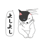 ねこさんの観察日記（個別スタンプ：15）