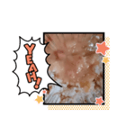 シチューです（個別スタンプ：6）