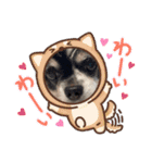 どーーーぶつ、かぞく！（個別スタンプ：8）