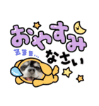どーーーぶつ、かぞく！（個別スタンプ：13）