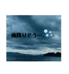 どーーーぶつ、かぞく！（個別スタンプ：19）