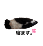 どーーーぶつ、かぞく！（個別スタンプ：23）